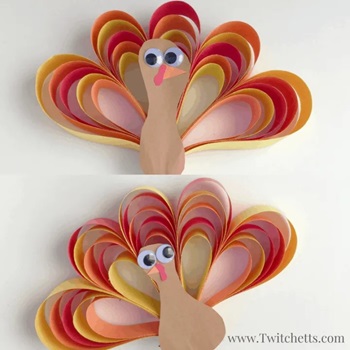 3D Turkey