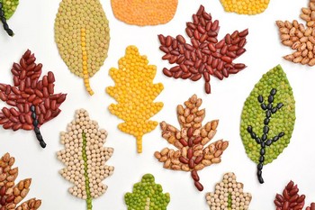 Fall Bean Mosaics