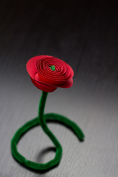 Spiral Roses