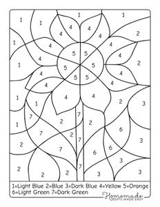 Flower by Numbers